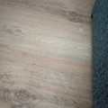 Отвратительные арендодатели Тюмени