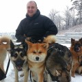 Дрессировка Акита Ину.