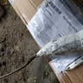 Бегите подальше от флорали шлют сухие палки я в шоке