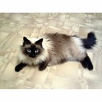 Анна