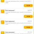 Выдали не полный кешбек.