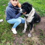 Darina