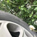 Купил по совету результаты на фото