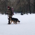 Спасибо за наши успехи!