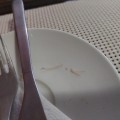 Глисты в куске шашлыка
