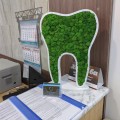 Отзыв о greenlife.deco: Зуб из мха