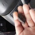 Ужасно, не рекомендую.