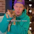 Отличная френдли-платформа
