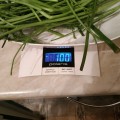 "Честный вес"-100г.(Ашан 53км.мкад Марфино)