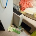 Сумеркин Николай Львович, г. Ярославль