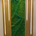 Отзыв о greenlife.deco: Фотостена из мха