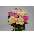 Отзыв о Flor2u.ru: Розы прекрасный цветок