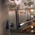 Хорошее приложение