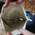 Не покупайте вещи в ситилинке