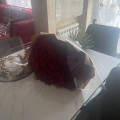 Сто и одна роза