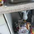 Отзыв о О недобросовестных арендаторах: Осторожно вор и свинья Коновалов Александр Сергеевич