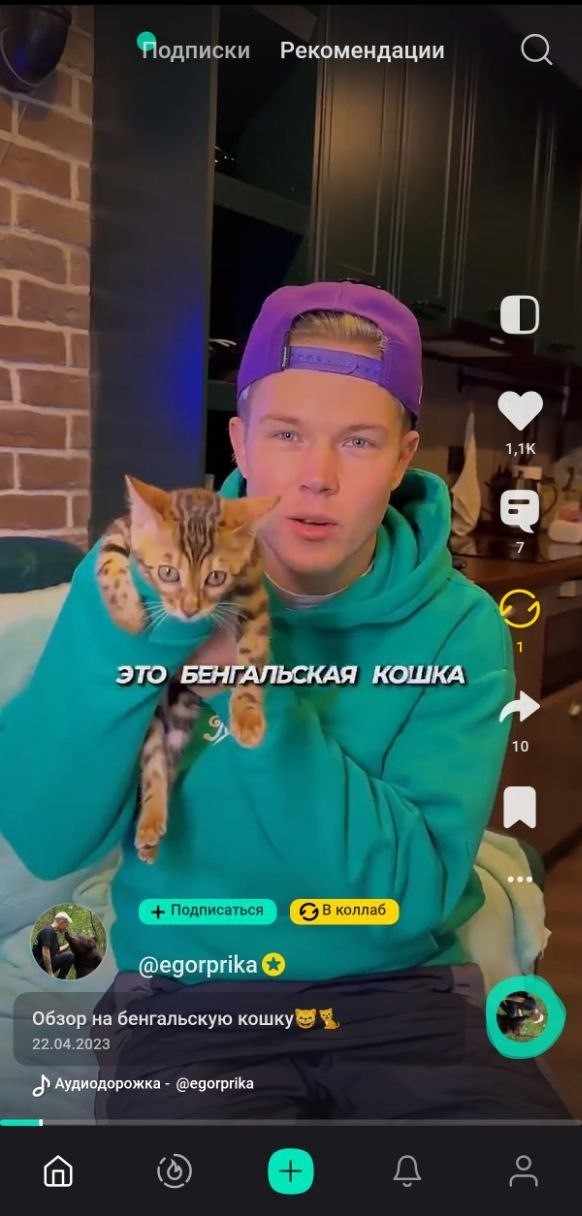 Yappy (Яппи) социальная сеть - Отличная френдли-платформа