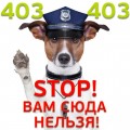 Яндекс выкупили с потрохами