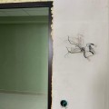 ПРЕСТУПНАЯ СХЕМА В РЯЗАНИ (!!!)