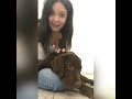 Отзыв о Дрессировщик Алтайский Игорь Борисович: Дрессировщик Алтайский Игорь Борисович