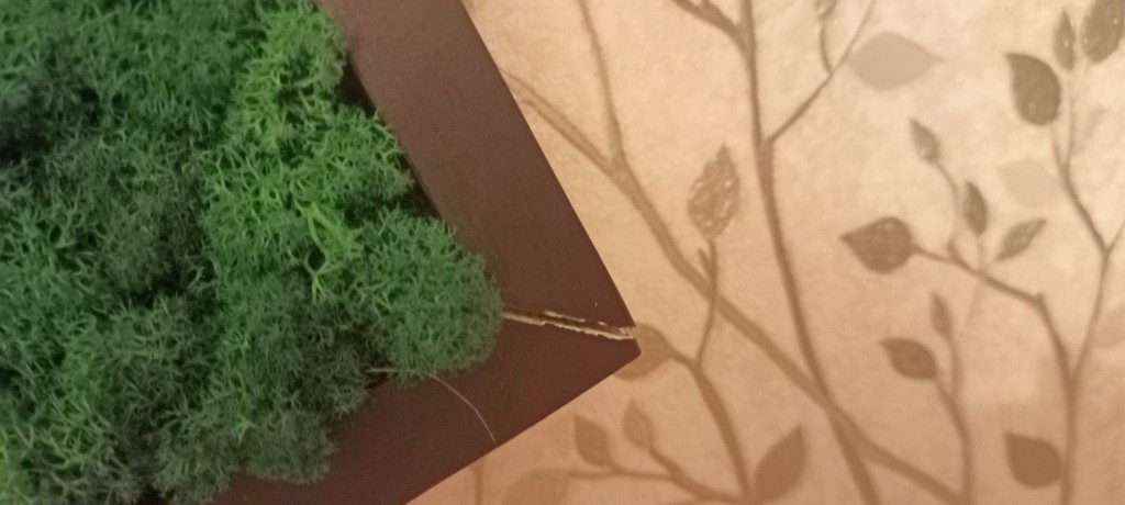 greenlife.deco - Очень низкое качество и неуважение к покупателю