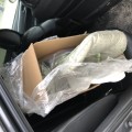 Отзыв о Детский мир: Отвратительное
