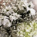 [[Когда привезли букет был шикарен, но почему-то на следующий день букет резко"приуныл" [:bad:]Было