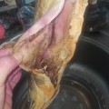 СПАСИБО за рыбу горбушу. Магазину жалко было выбросить. Решили таким способом избавиться от такого
