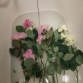 хуже качества не встречала нигде