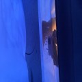 Отзыв о Интернет магазин Автохранитель: Обман. Чехлы не выполняют заявленные функции.