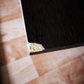 Как вляпаться в тахту, заплатить деньги и остаться жить на складе