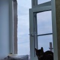 Отзыв о ООО "Тульский завод светопрозрачных конструкций": Самые крутые окна!