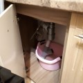 Посудомойка)))