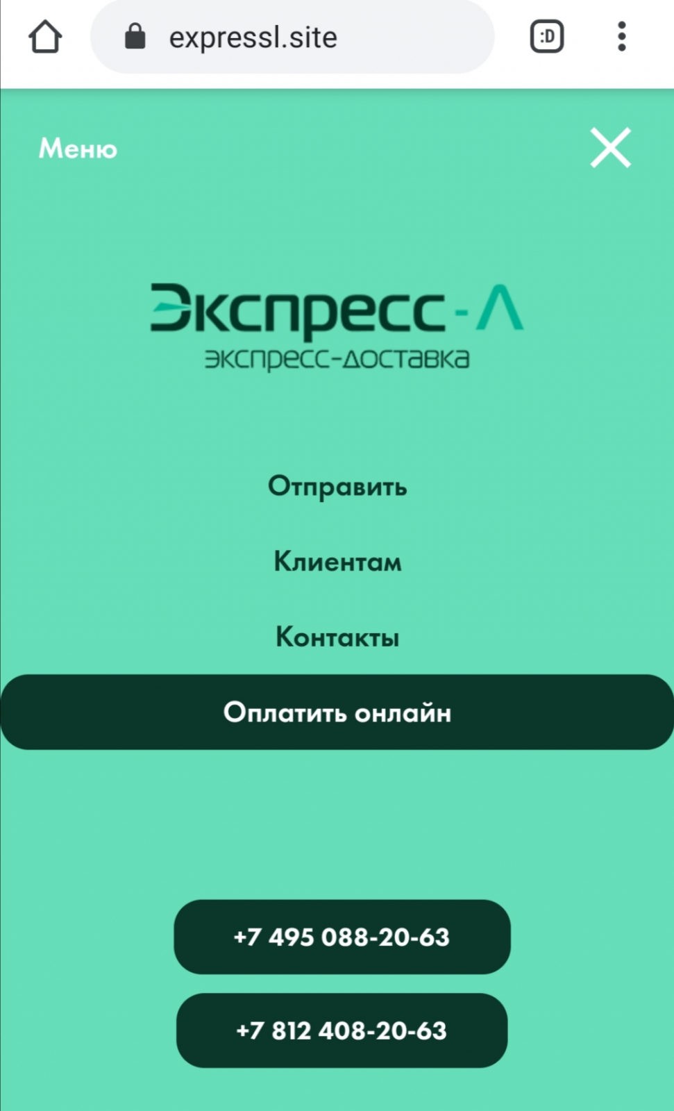 РУ-Доставка - EXPRESSI.SITE не отвечает ни за что! ОБМАН и РАЗВОД!!!