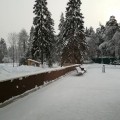 Ищите отзывы про центр здоровья Верба майер? Тогда вам сюда!