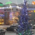 Продаю вторичку в ЖК Мечта