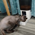 Отзыв о PET FLAT: Автоматическая кормушка - супер гаджет
