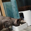 Отзыв о PET FLAT: Автоматическая кормушка - супер гаджет