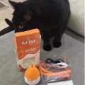 Отзыв о PET FLAT: Кот в восторге