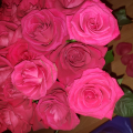 Отзыв о Служба доставки цветов Flowers-Sib: Отвратительно