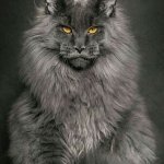 Ярослав Бакутин
