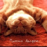 Антонина