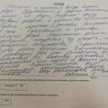 Отзыв о Гардиан: Работа выполнена замечательно