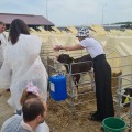Отзыв о ЭкоНива экскурсии: Замечательное место для посещения с детьми