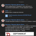 Отзыв о Дипломист: классно сделали